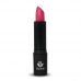 LABIAL 48